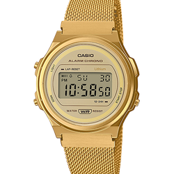 CASIO รุ่น A171WEMG-9A / DATA BANK DIGITAL