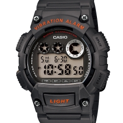 CASIO สายเรซิ่น รุ่น W-735H-8A