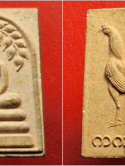 สมเด็จ ปรกโพธิ์ หลัง ไก่