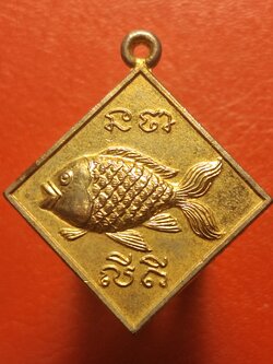 ปลาตะเพียน วัดดอนตูม รุ่นสอง เนื้อกะไหล่ทอง(องค์ที่1)