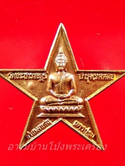 หลวงปู่แผ้ว วัดรางหมัน ดาวมงคลชัยพิมพ์ใหญ่ เนื้อทองแดง(องค์ที่5)