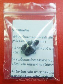 หลวงพ่ออุทัย วัดเกาะตาพุด เต่าแกะ จากโครตเหล็กไหลเขาอึมครึม(องค์ที่3)