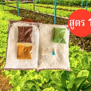 ปุ๋ย A B ไฮโดรโปนิกส์ สูตร 1