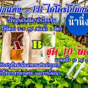 ปุ๋ย AB ปลูกแบบน้ำนิ่งและน้ำวน