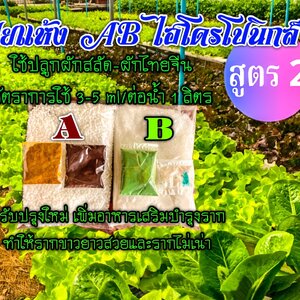 ปุ๋ย A B ไฮโดรโปนิกส์ สูตร 2