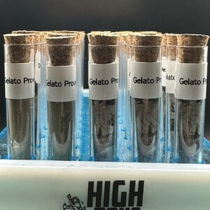 พันลำ (เนื้อล้วน)(สายพันธ์)