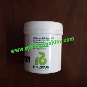 เมล็ดผักสลัดชนิดเคลือบ(RIJK ZWAAN)