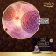 CORDY-M7 กาแฟเพื่อสุขภาพ กาแฟถั่งเช่าแท้ 700 mg. 7 NI 1 Coffee
