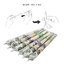 Pre Rolled Cones Dollar Bill Hornet (King Size)