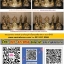 พระประจำวันเนื้อทองเหลืองแท้100% ขัดเงา ขนาด 9 นิ้ว วันพฤหัสบดี