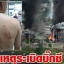 หลวงปู่ทวด เหรียญเม็ดแตงใหญ่ เนื้ออัลปาก้า รุ่นสร้างพิพิธภัณฑ์ 58 องค์ที่๒