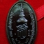 หลวงปู่แผ้ว วัดรางหมัน ใบขี้เหล็กหลวง สธ เนื้อนวะ(องค์ที่4)