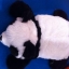 ตุ๊กตา อุ่นทันใจ เวอร์ชั่นน่ารัก