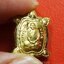 หลวงปู่แผ้ว วัดหนองพงนก เต่าจิ๋ว เนื้อฝาบาตร พิธีจักรพรรดิ์ตราธิราช๑๐๘คณาจารย์ ปี๒๕๕๐ ไม่ตัดปีก(องค์ที่4)
